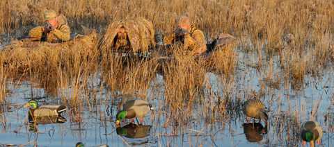 best duck hunting blind bolsa